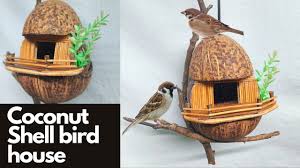 Coconut Shell Bird House